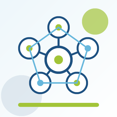 Strategic Partner Systems